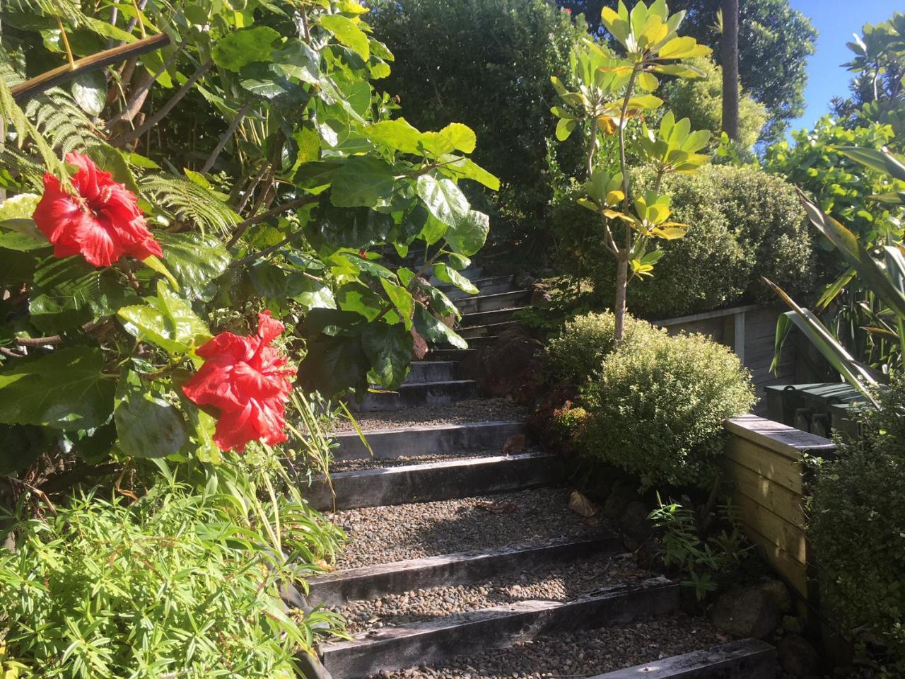Fantail B&B Tairua Exterior photo